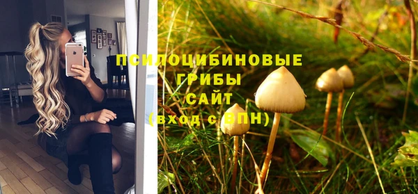 ГАЛЛЮЦИНОГЕННЫЕ ГРИБЫ Верхний Тагил