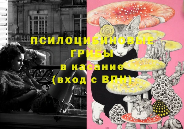 a pvp Верея