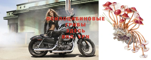 a pvp Верея
