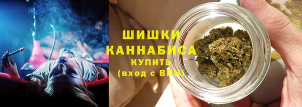 ГАЛЛЮЦИНОГЕННЫЕ ГРИБЫ Верхний Тагил